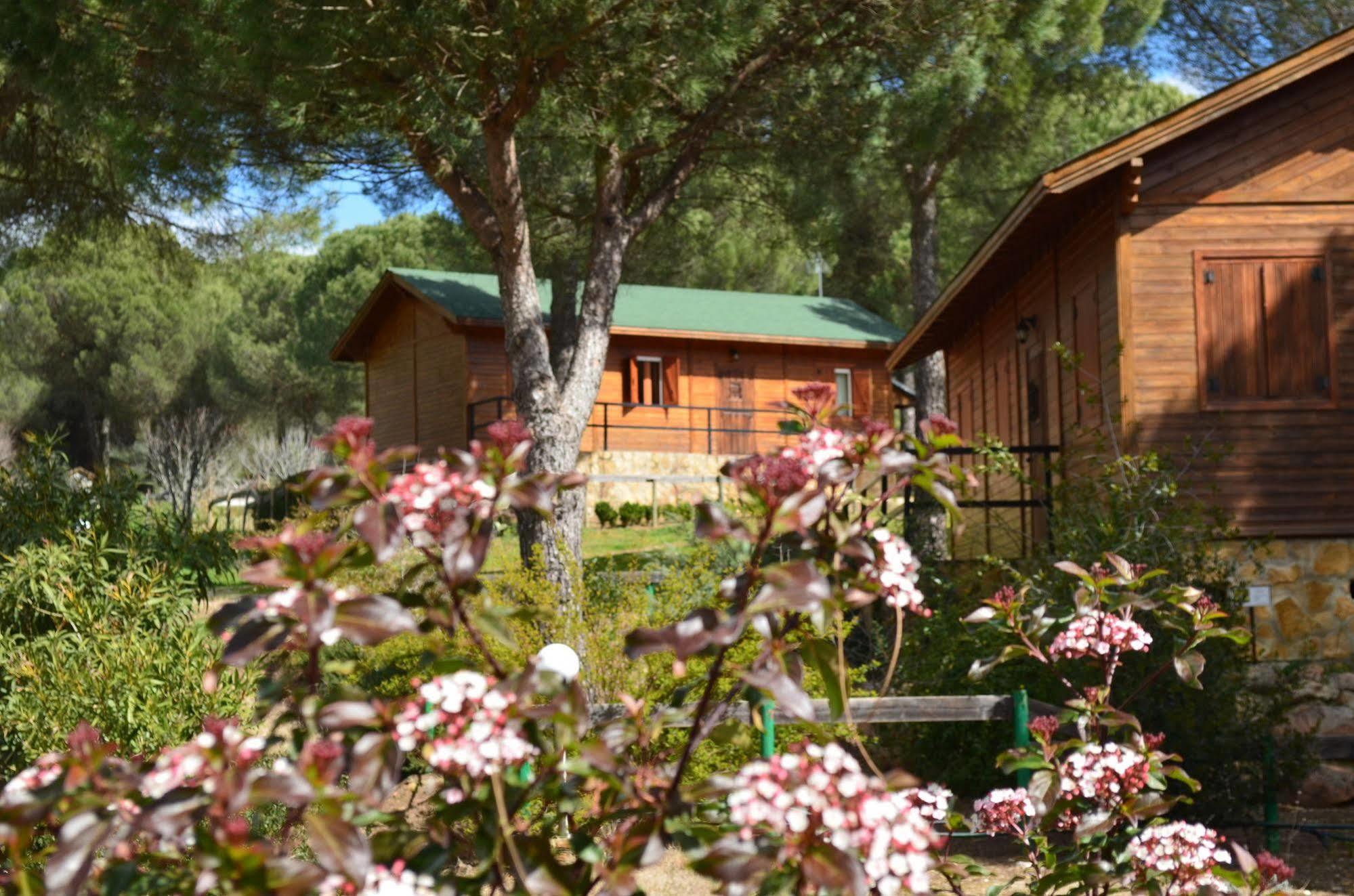 Apartamentos Paraje San Gines Andújar Εξωτερικό φωτογραφία